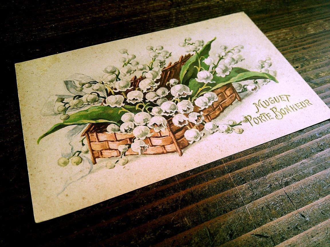 花(4)A84◆スズラン すずらん 鈴蘭 アンティークポストカード フランス ドイツ ベルギー イタリア イギリス ビンテージ 外国絵葉書の画像8