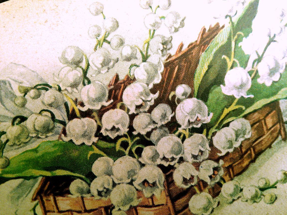 花(4)A84◆スズラン すずらん 鈴蘭 アンティークポストカード フランス ドイツ ベルギー イタリア イギリス ビンテージ 外国絵葉書の画像6