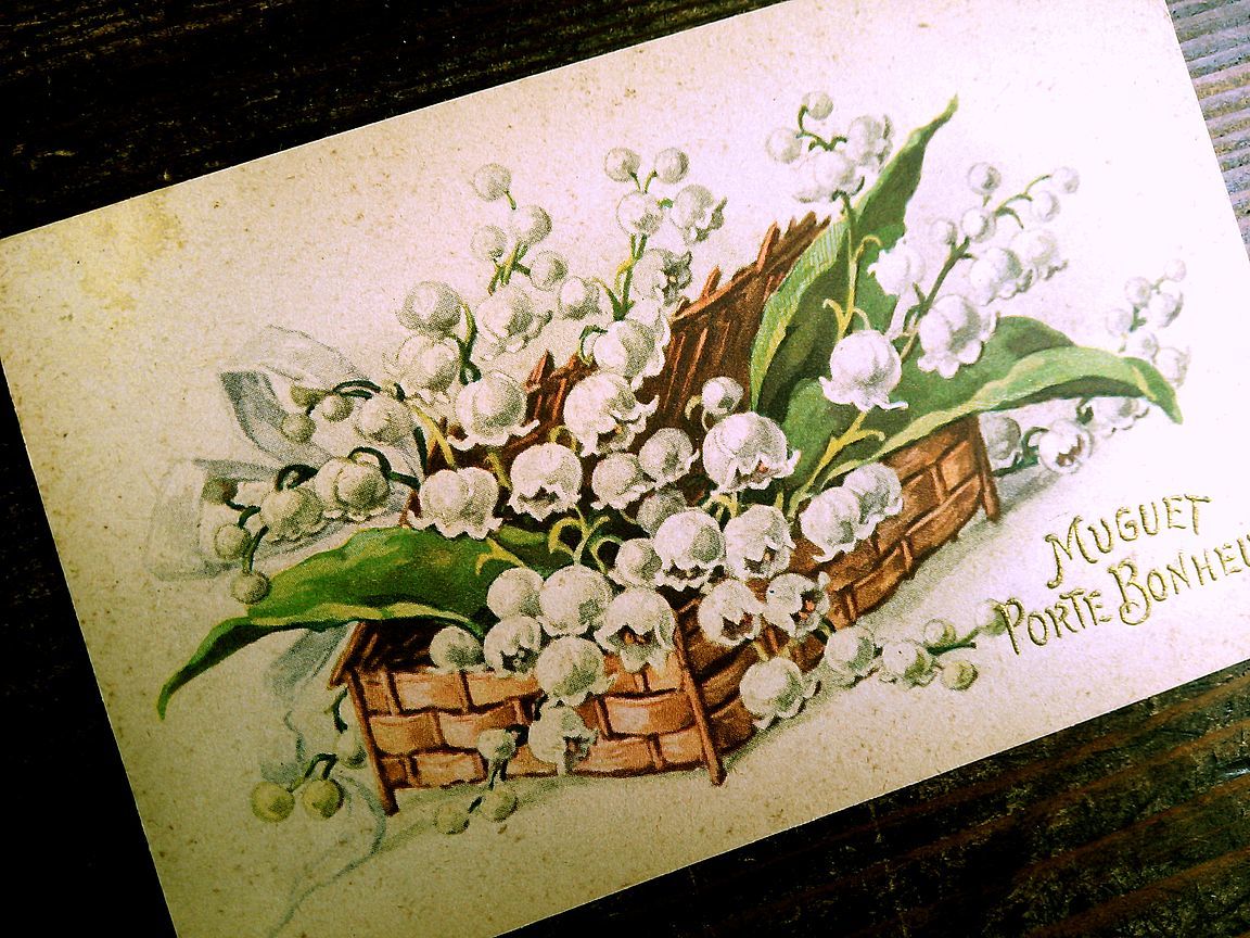 花(4)A84◆スズラン すずらん 鈴蘭 アンティークポストカード フランス ドイツ ベルギー イタリア イギリス ビンテージ 外国絵葉書の画像9