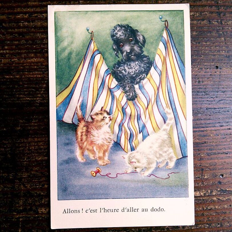 猫(6) Y15◇犬 アンティークポストカード フランス ドイツ ベルギー イタリア イギリス ネコ ねこ ビンテージ 外国絵葉書 