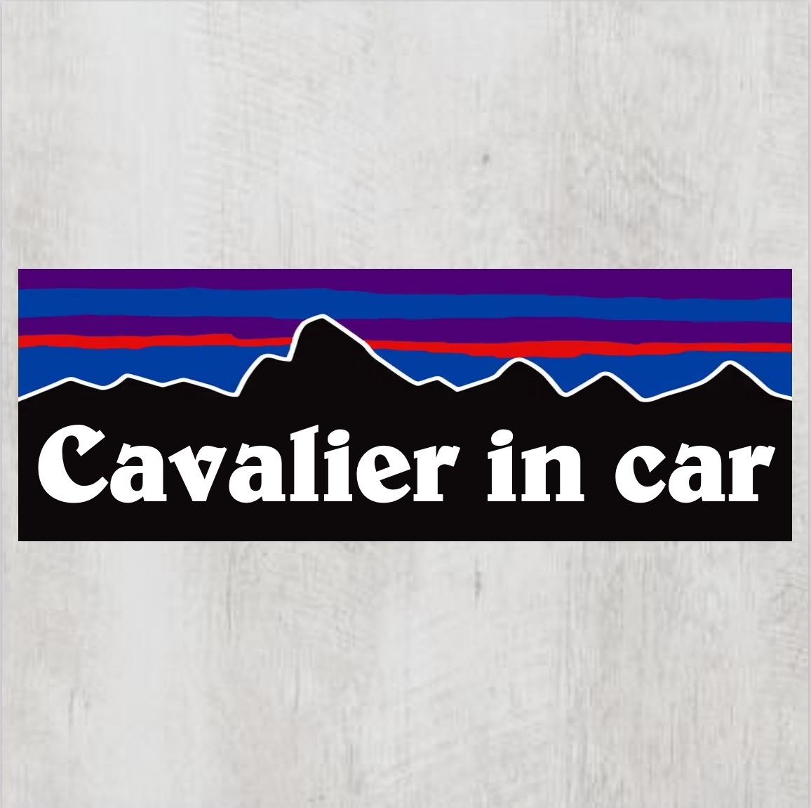 P【キャバリアインカー/Cavalier in car】マグネットステッカー_画像1