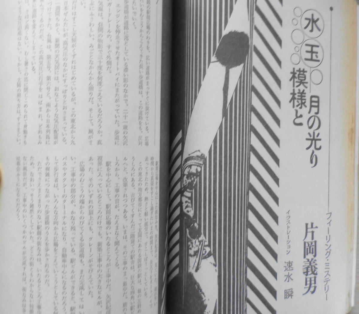  Lupin mystery integrated magazine Showa era 56 year No.3 summer number virtue interval bookstore polka dot pattern . month. light ./ Kataoka Yoshio g