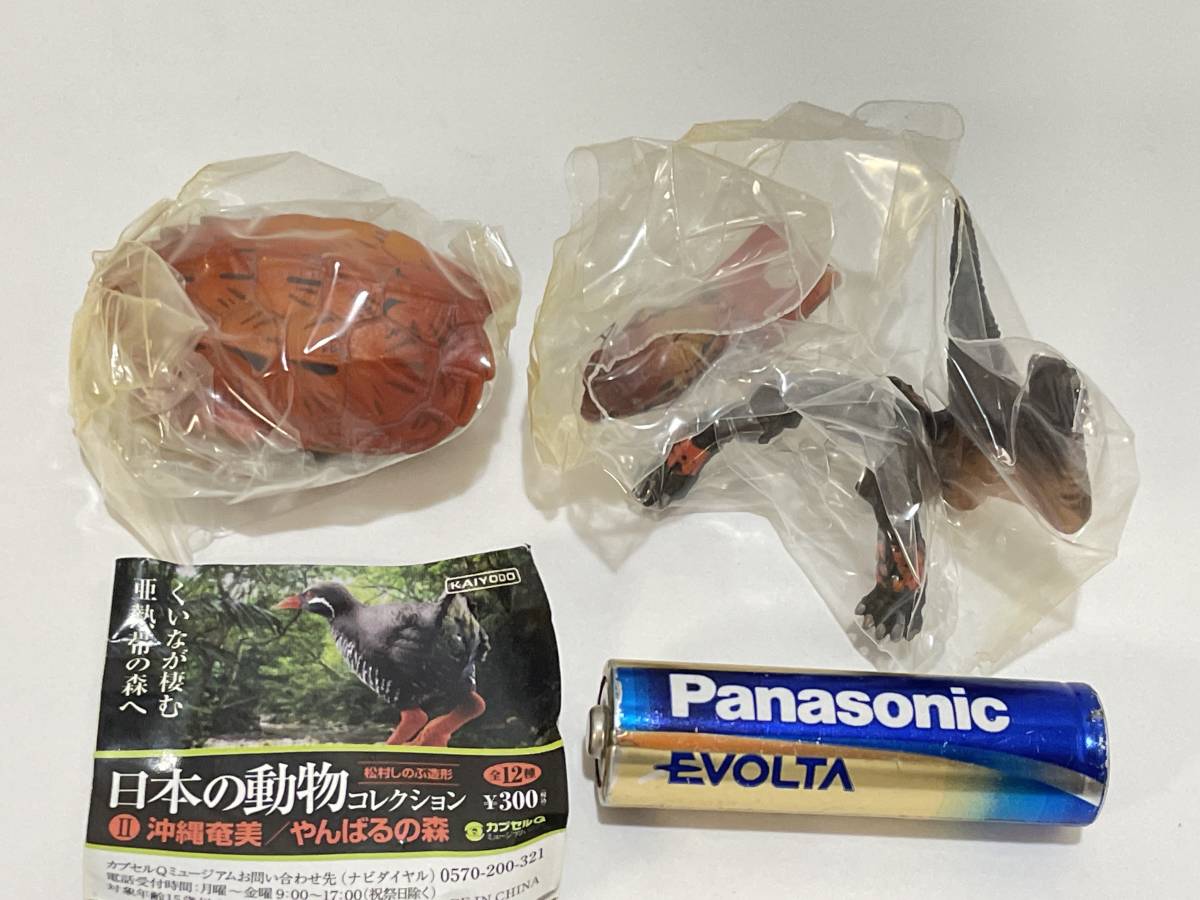 海洋堂カプセルＱミュージアム　日本の動物コレクションⅡ　沖縄奄美/やんばるの森　リュウキュウヤマガメ（赤色型）_画像1