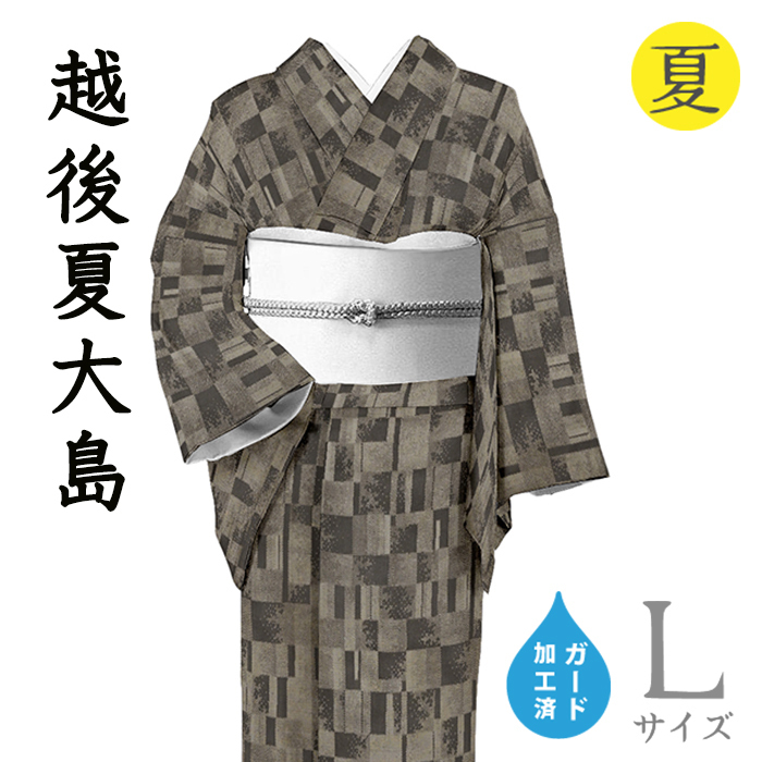 期間限定キャンペーン 夏大島 正絹 着物22 - www.vernitaxlaw.com
