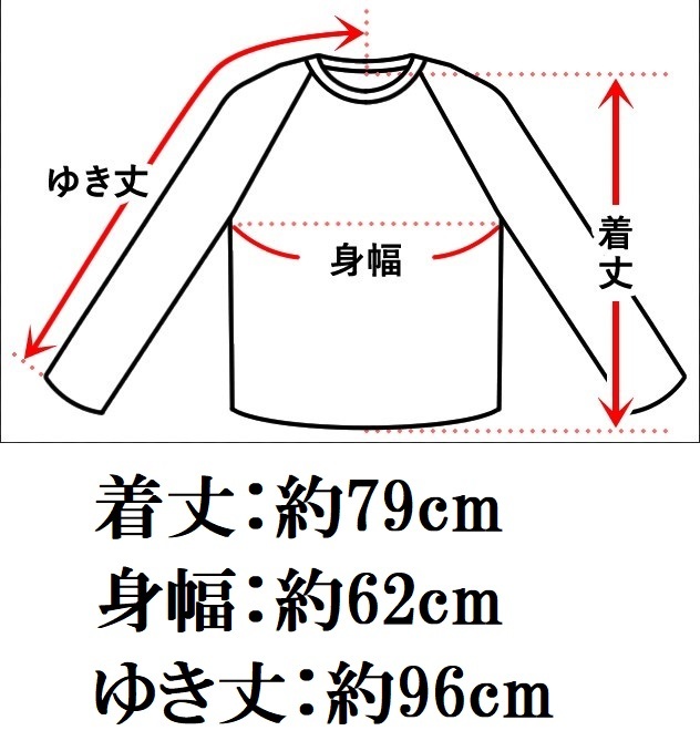 Chicago Bulls Jacket Jeff Hamilton 72-10 1996 Championship_画像9