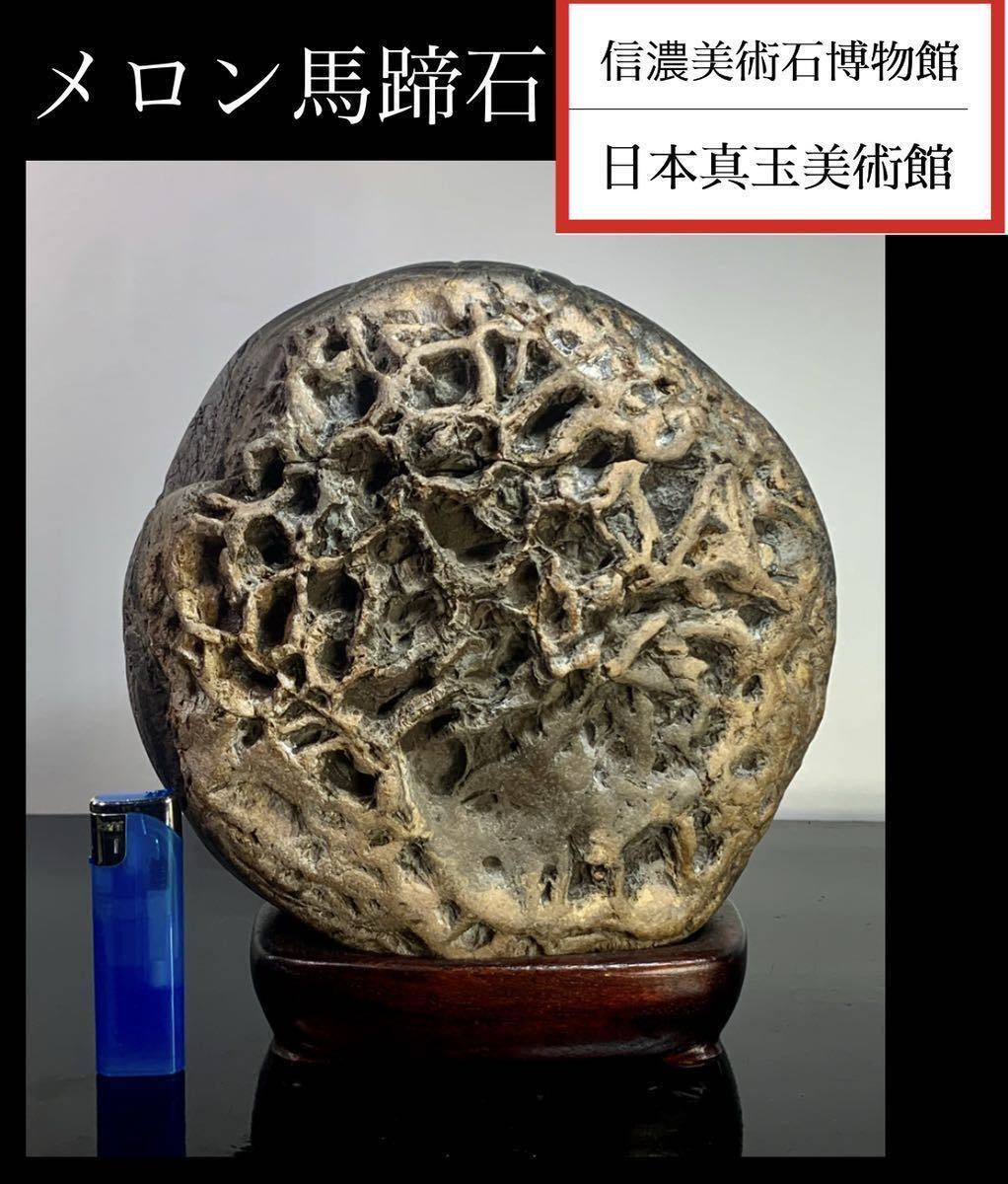 信濃美術石博物館】水石 メロン馬蹄石 横20×高23×奥行17(cm) 6.14kg