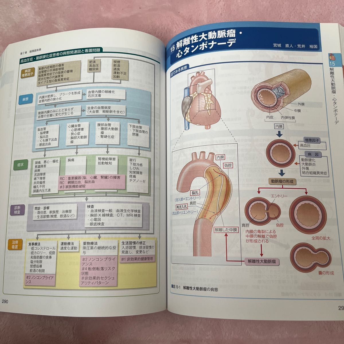 病期・病態・重症度からみた疾患別看護過程+病態関連図 (病期 病期・病態・重症度からみた疾患別看護過程+病態関連図 (病期