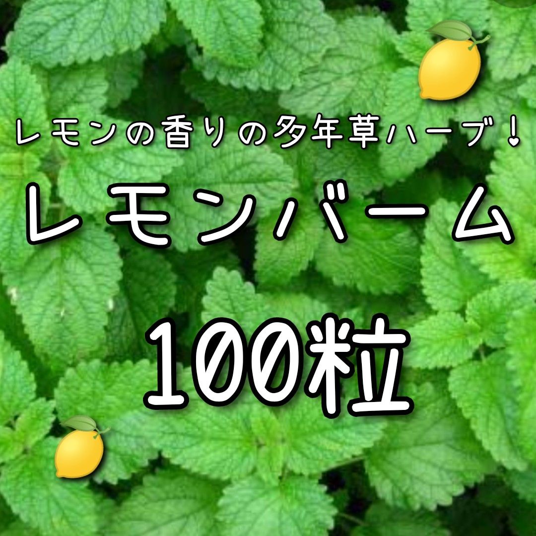 【レモンバームのタネ】100粒 種子 種 ハーブ