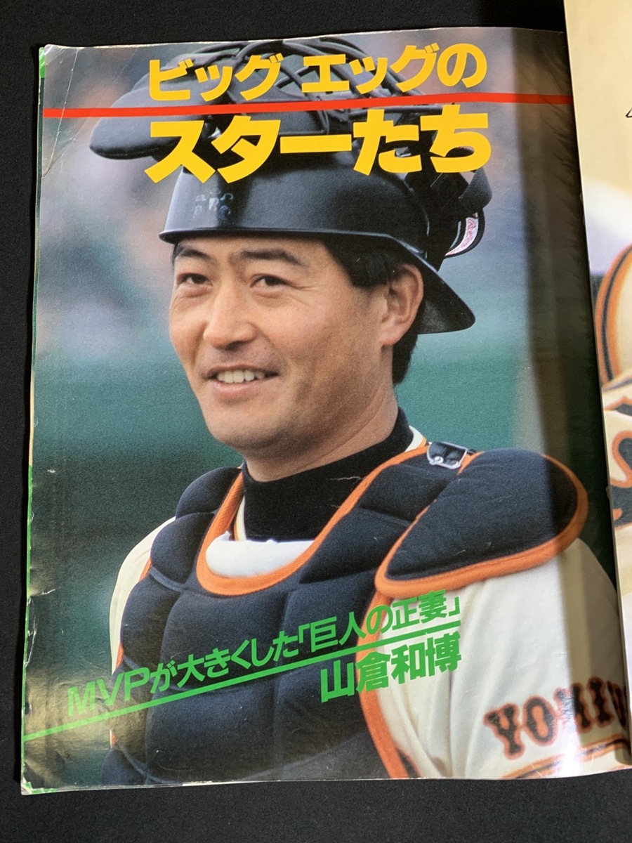 『あなたとジャイアンツ 1988年　全記録付　選手写真名鑑』_画像3