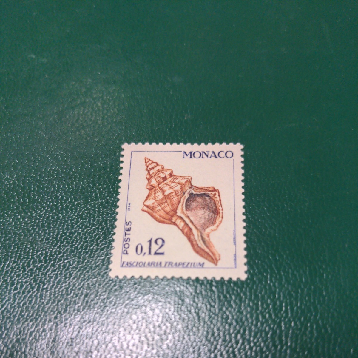 モナコ記念切手 1964年　巻貝　1種　0.12フラン　切手未使用 　_画像1