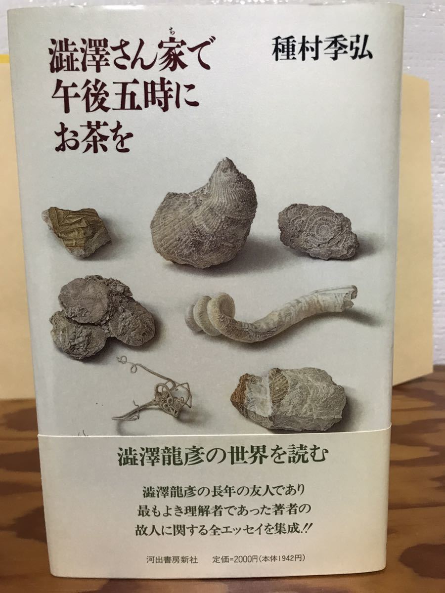 澁澤さん家で午後五時にお茶を　種村季弘　帯　初版第一刷　未読美品　澁澤龍彦_画像1