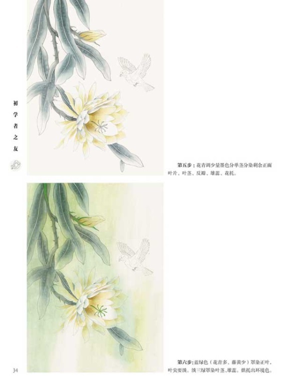 9787558059100　工筆四季花卉2　初心者の友　中国画技法　中国絵画_画像2