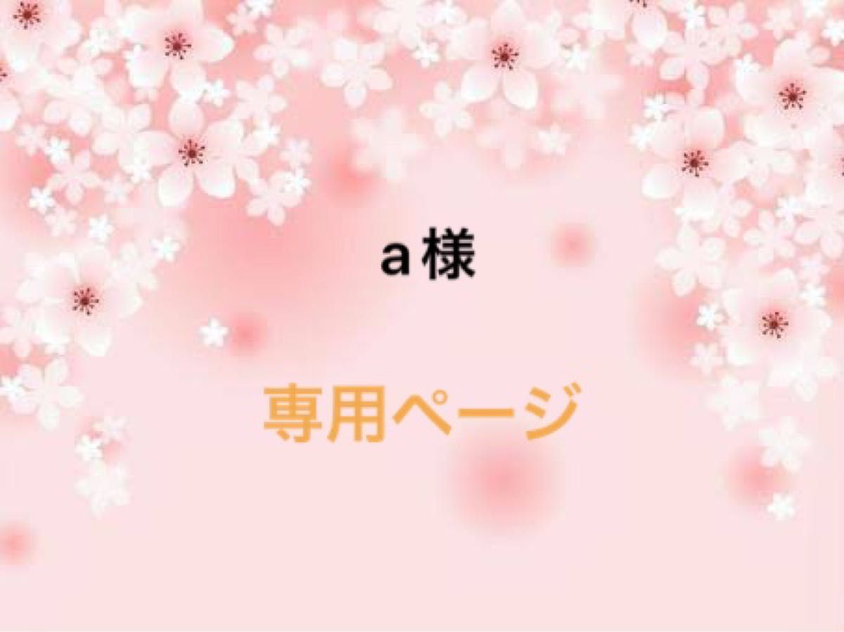 a様専用ページ①|Yahoo!フリマ(旧PayPayフリマ)