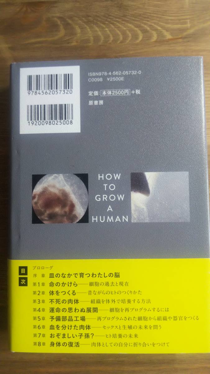 （TB-113）　人工培養された脳は「誰」なのか:超先端バイオ技術が変える新生命 単行本　　　著者＝フィリップ・ボール　　発行＝原書房_画像2