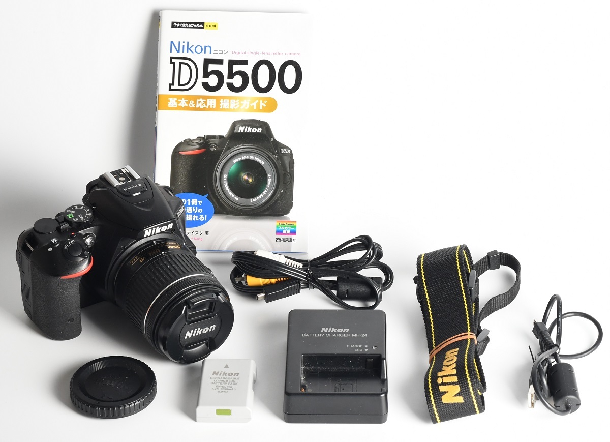 Nikon D5500 最新型レンズAF-P DX18-55 防湿庫保管 連写使用無し 室内