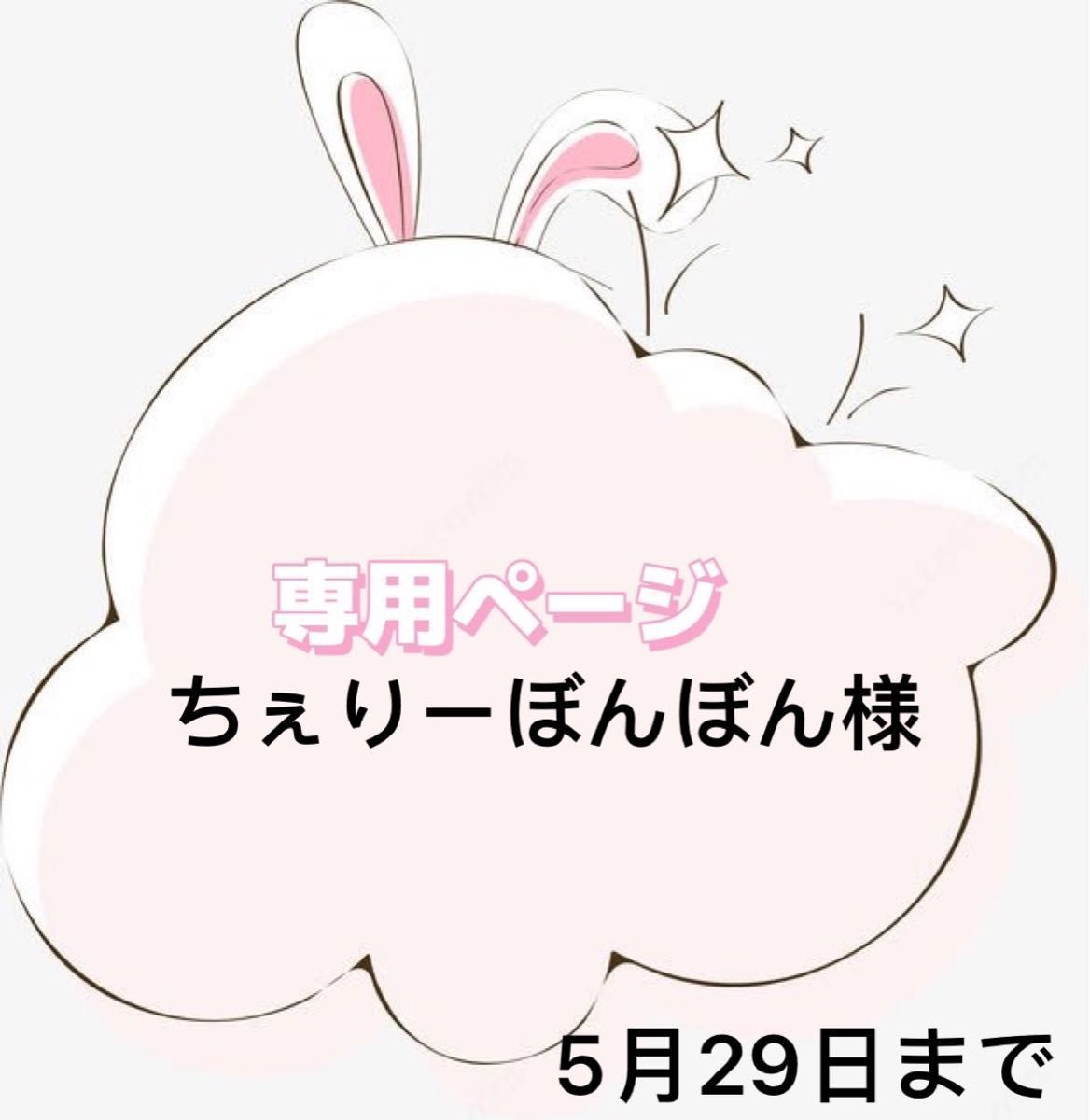 ちぇりーぼんぼん様専用ページ|PayPayフリマ