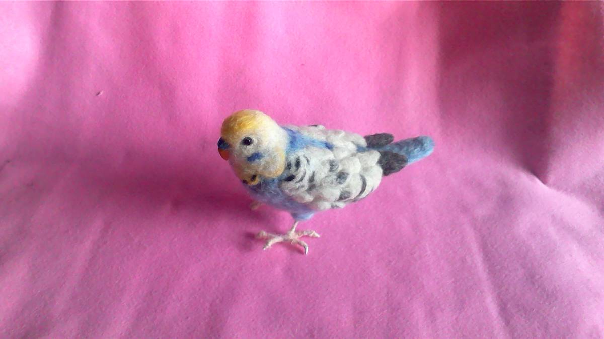  wool felt *se regulation parakeet Chan 