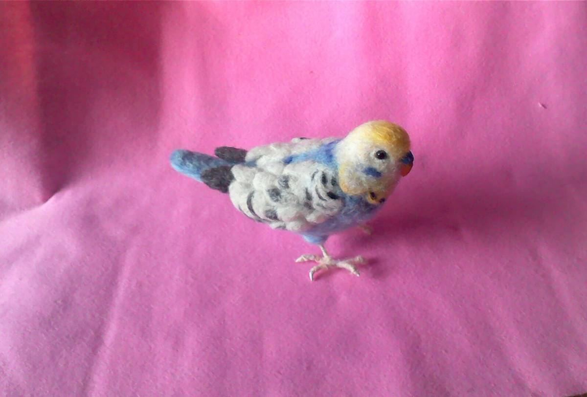  wool felt *se regulation parakeet Chan 