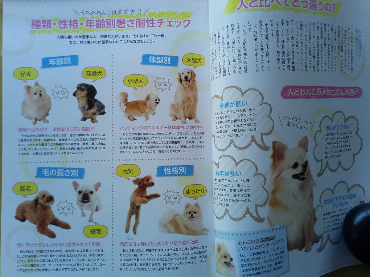 即決 愛犬チャンプ保存版 夏の暑さ対策 エアコン 夏のお散歩 夏の食事レシピ 病気対策 + 山田花子の愛犬チワワ インタビュー_画像4