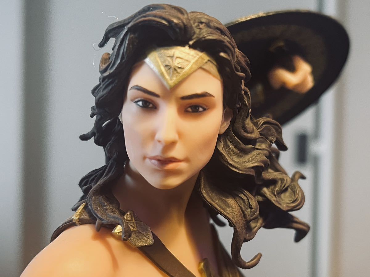DC Collectibles ワンダーウーマン&スティーブ・トレバー wonder DC Collectibles ワンダーウーマン&スティーブ・トレバー wonder