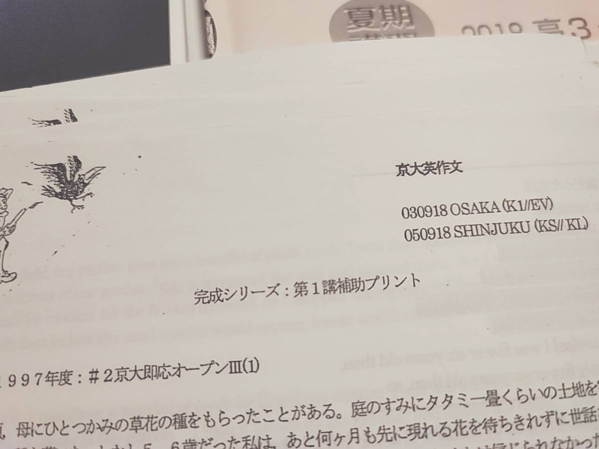 新発売】 河合塾 刀禰泰史先生 夏期・完成 京大英作文 テキスト