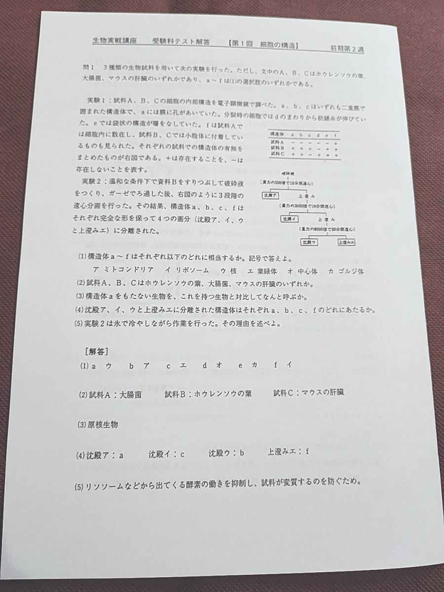 鉄緑会　生物実戦講座　受験科テスト　全セット　東大京大対策　　河合塾　駿台　鉄緑会　Z会　東進　SEG_画像2