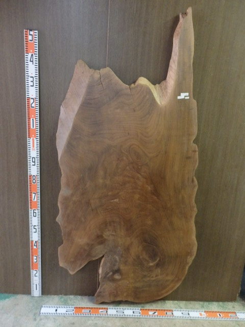 完売 2111010○神代欅○約1m62cm×82cm×厚2mm~3.5cm 欅(けやき