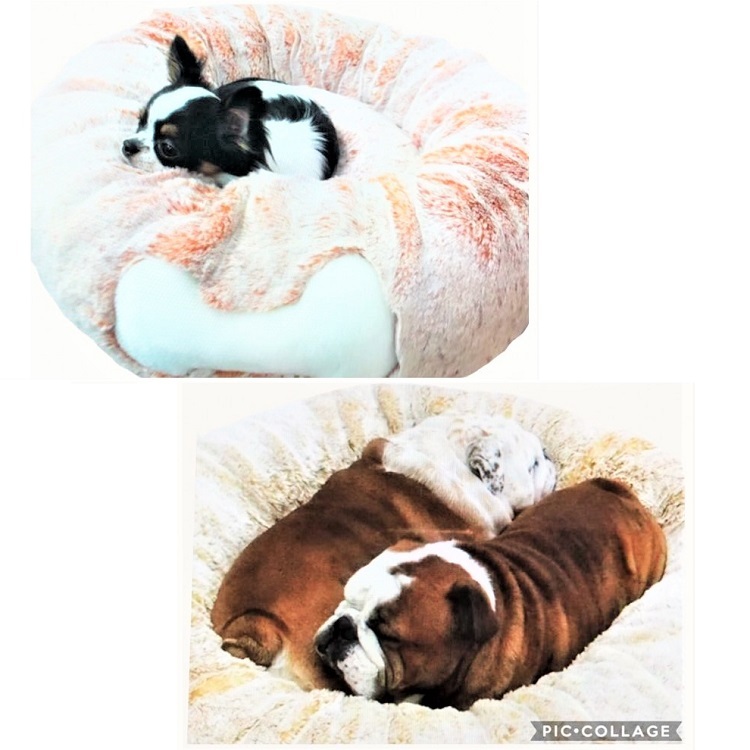  stock one . liquidation sale bed AN47 AN48 AN49 sofa rabbit fur pretty ultimate small dog papi- small size dog medium sized dog large dog dog cat pet clothes stylish 