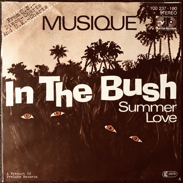 [Disco & Soul 7inch]Musique / In The Bush.