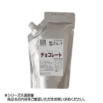 かき氷生シロップ チョコレート 業務用 600g 3パックセット(a-1619437)