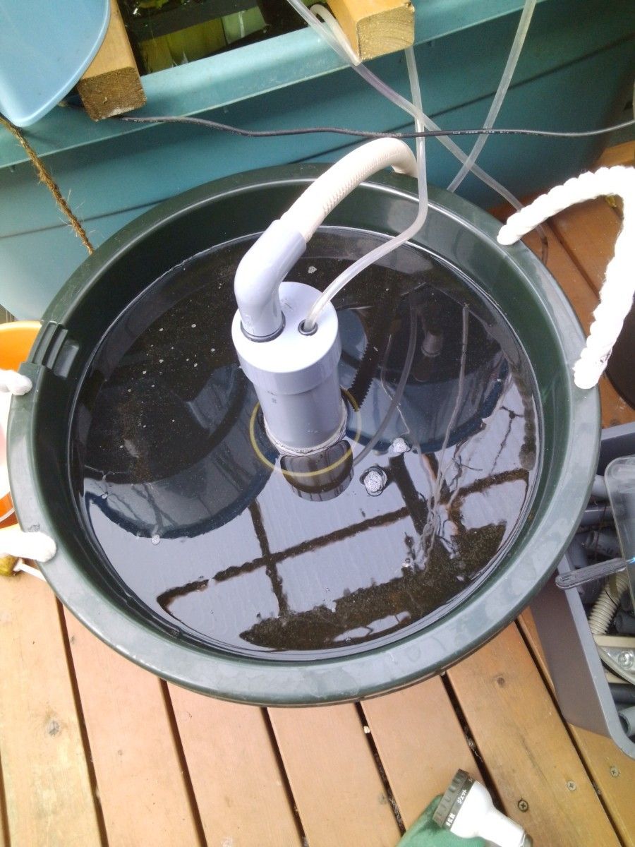 タマミジンコ爆殖装置【ミジンコ爆殖君+30L容器セット】 | alfasaac.com
