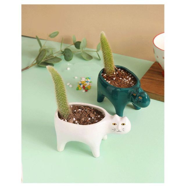気持ち悪い顔のネコ 猫 陶器 観葉植物 植木 プランター植木鉢