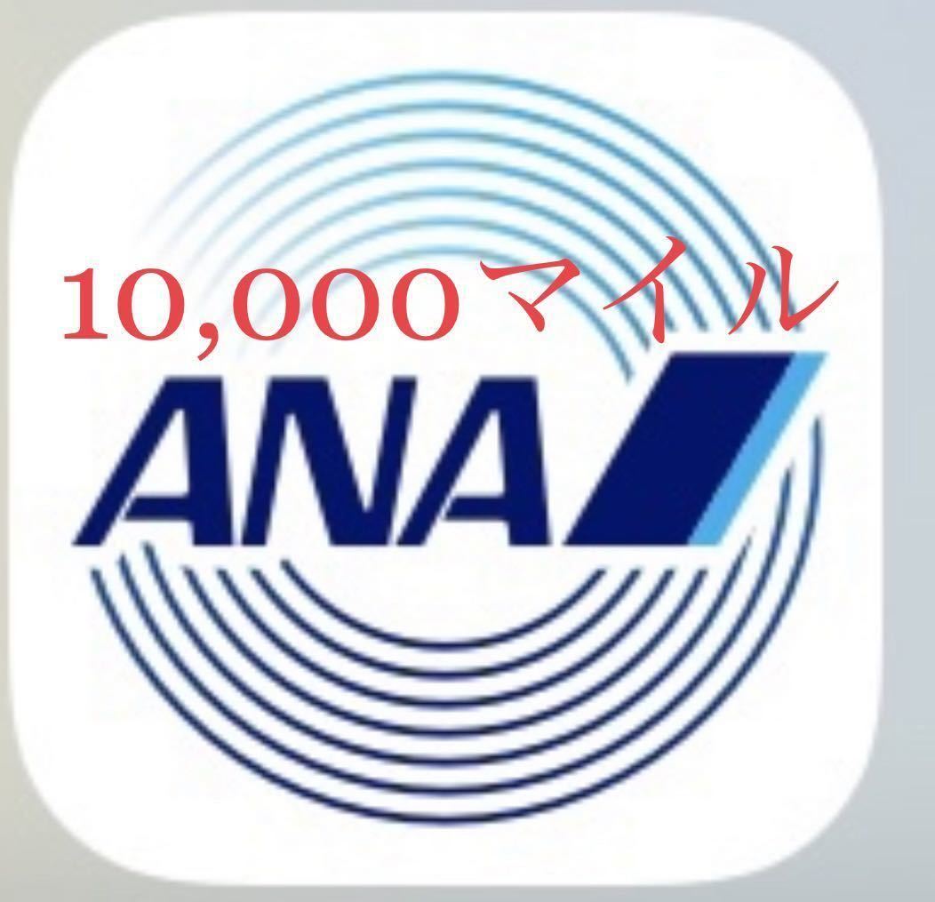 ANA 10000マイル ANAマイレージ ANAマイル