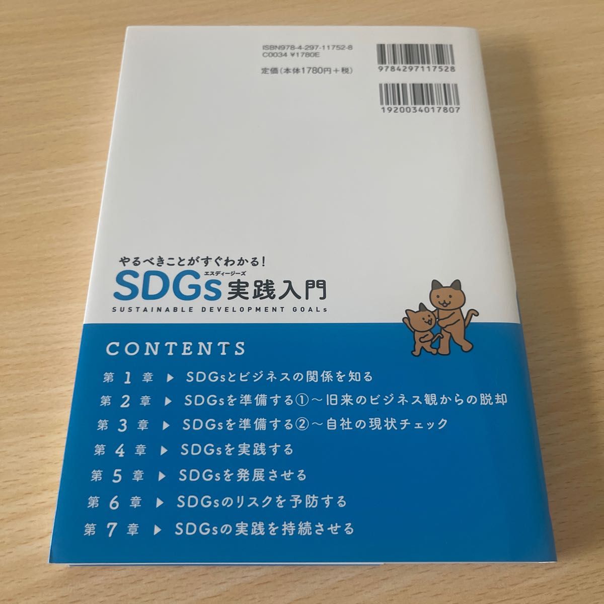 やるべきことがすぐわかる！ＳＤＧｓ実践入門　中小企業経営者＆担当者が知っておくべき８５の原則 （やるべきことがすぐわかる！）泉貴嗣