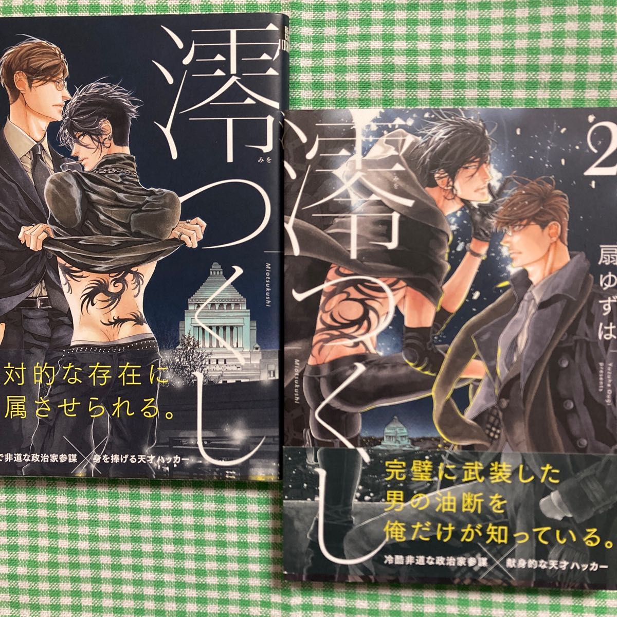 『澪つくし』『澪つくし 2』　扇ゆずは　リブレ