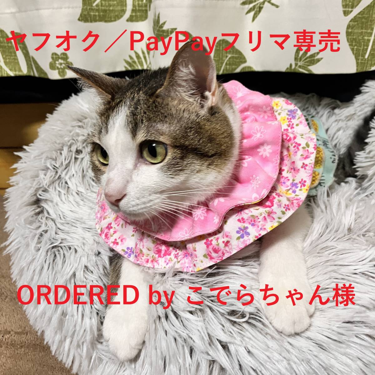 ＠こでらちゃん様オーダー品　★猫用ザビエルカラー ／鈴なしタイプ （Xavier Collar without Bell for  Cat）★スペシャルセット★