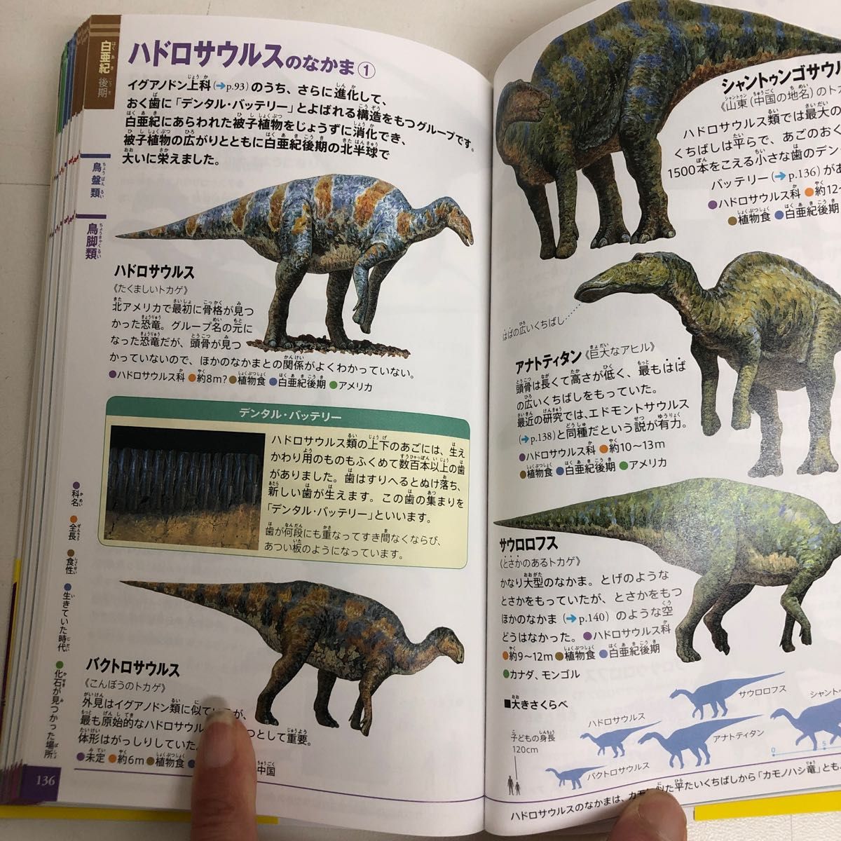 小学館の図鑑 NEO POCKET 恐竜|Yahoo!フリマ(旧PayPayフリマ) 小学館の図鑑 NEO POCKET 恐竜|Yahoo!フリマ(旧PayPayフリマ)
