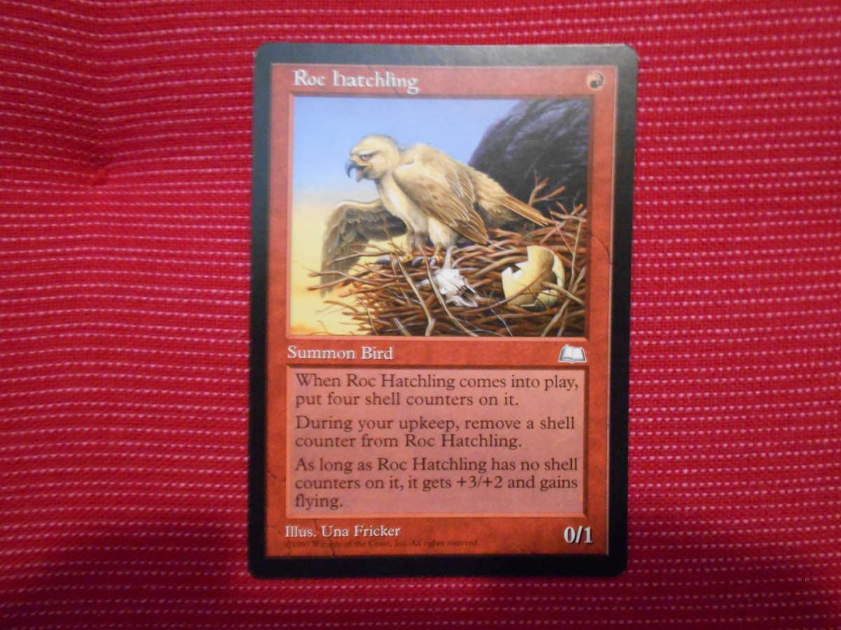 [Weatherlight] MTG : Roc Hatchling 英語版 黒枠_画像1