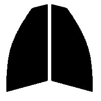 ハーフスモーク　７６％　運転席、助手席　マークX　X12# カット済みフィルム_画像1