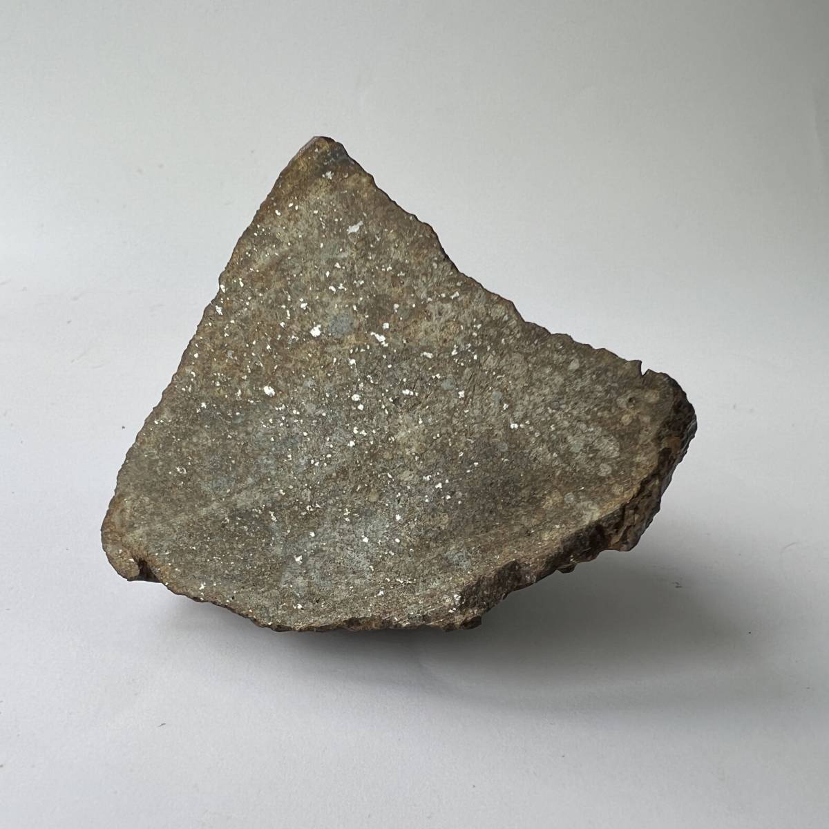 【E20631】石質隕石＊普通コンドライト＊隕石＊Condrite NWA869＊メテオライト