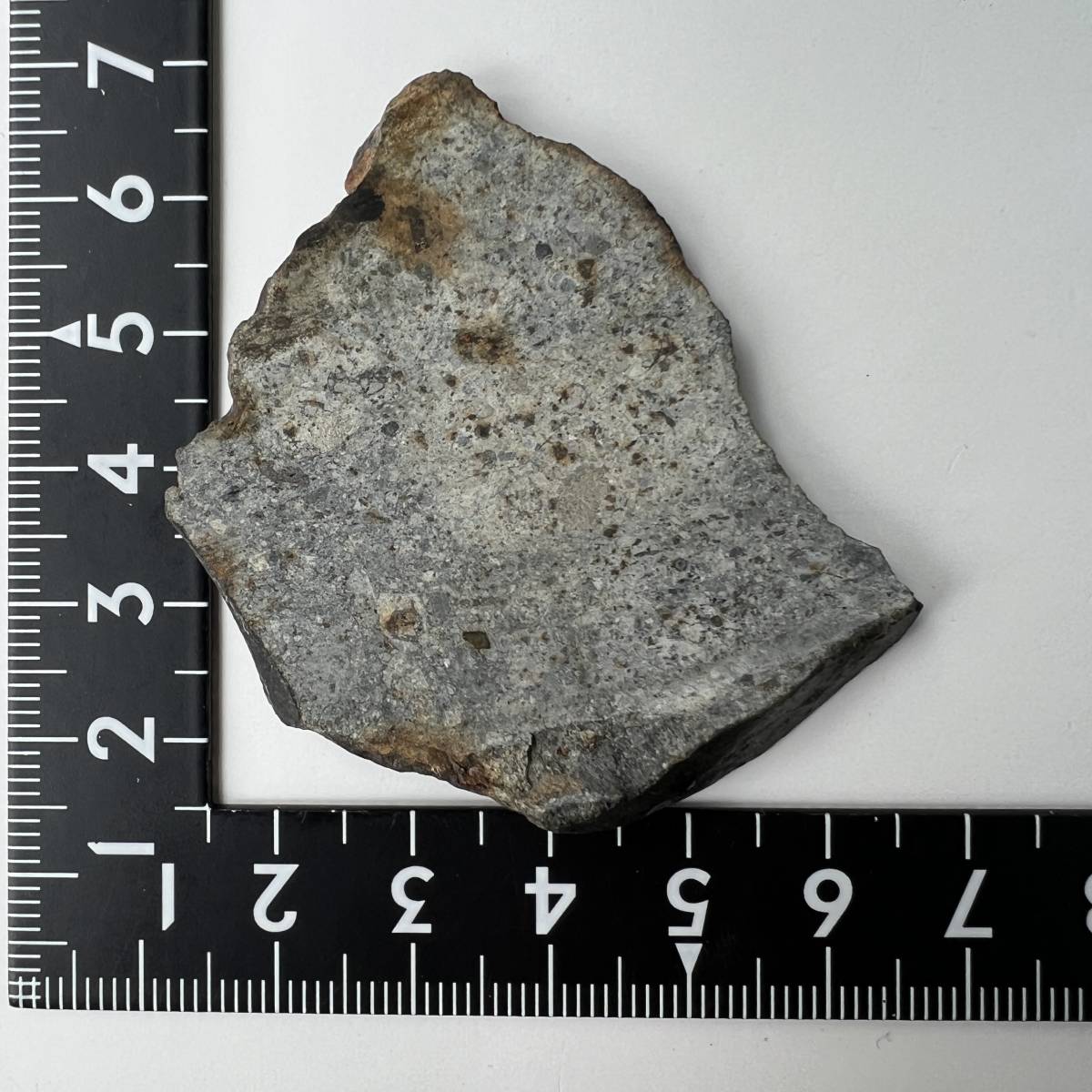 【E20787】石質隕石 普通コンドライト 隕石 Condrite NWA869 メテオライト