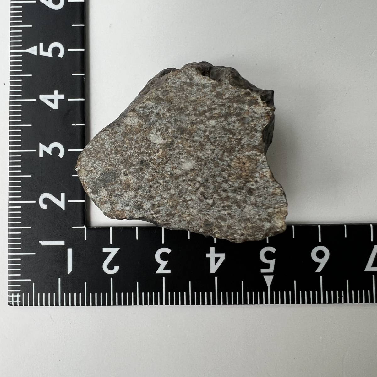 【E20783】石質隕石 普通コンドライト 隕石 Condrite NWA869 メテオライト