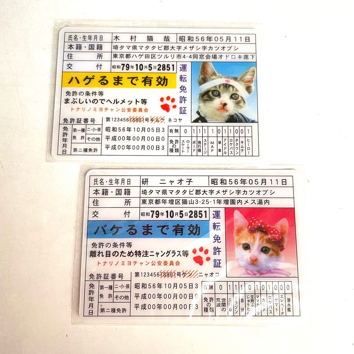 売れ筋商品 なめ猫 まとめ売り i9tmg.com.br