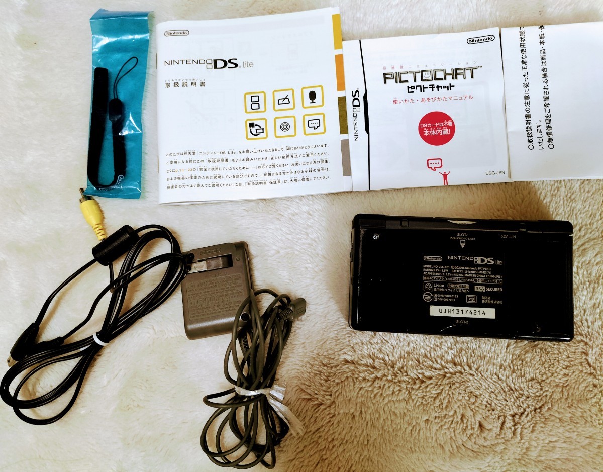 送料無料 美品 DS Lite ライト Nintendo 任天堂 眼力トレーニング 充電