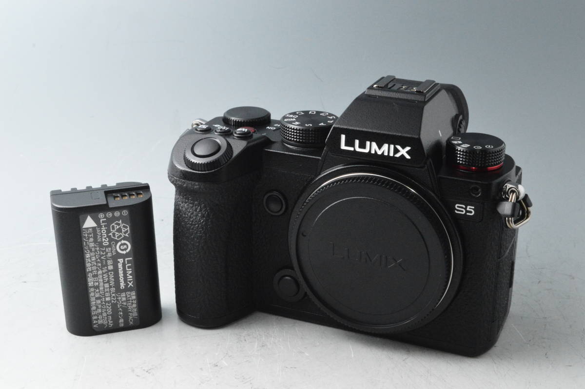 9760【美品】シャッター数316回 Panasonic パナソニック LUMIX DC-S5