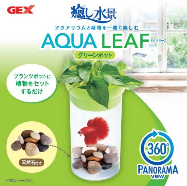 在庫(kù)処分?。牵牛亍“Kし水景　アクアリーフ　ホワイトポット　熱帯魚(yú)?アクアリウム/水槽?アクアリウム/水槽セット