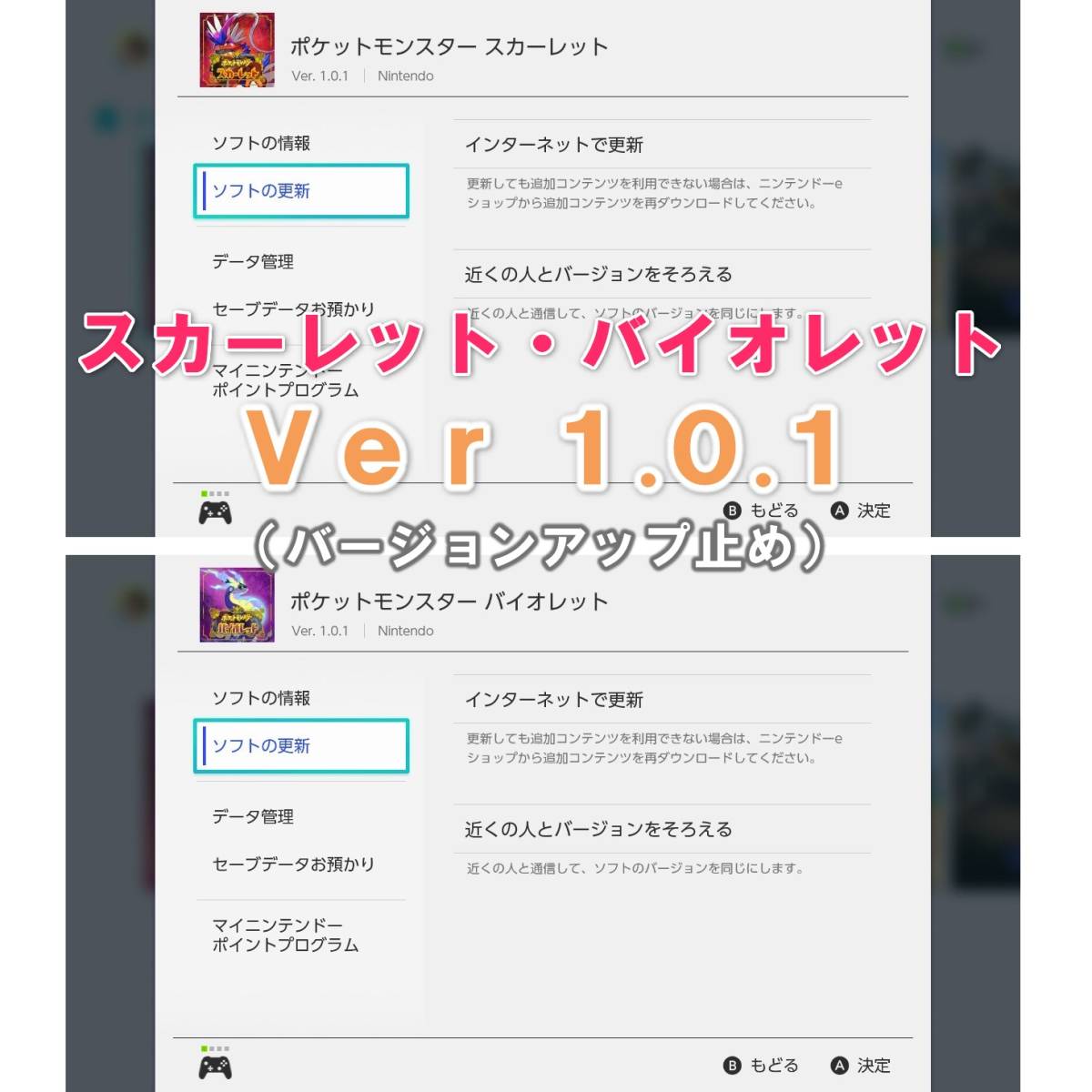 スイッチライト本体 SV Ver1.0.1 セーブデータ付き グレー ひかる