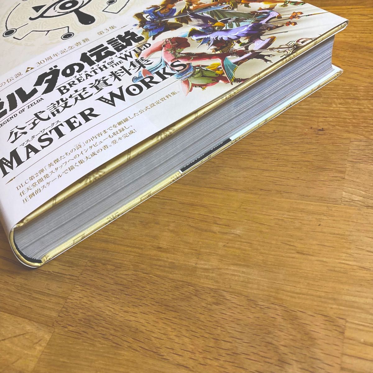 ゼルダの伝説 ブレスオブザワイルド マスターワークス MASTER WORKS