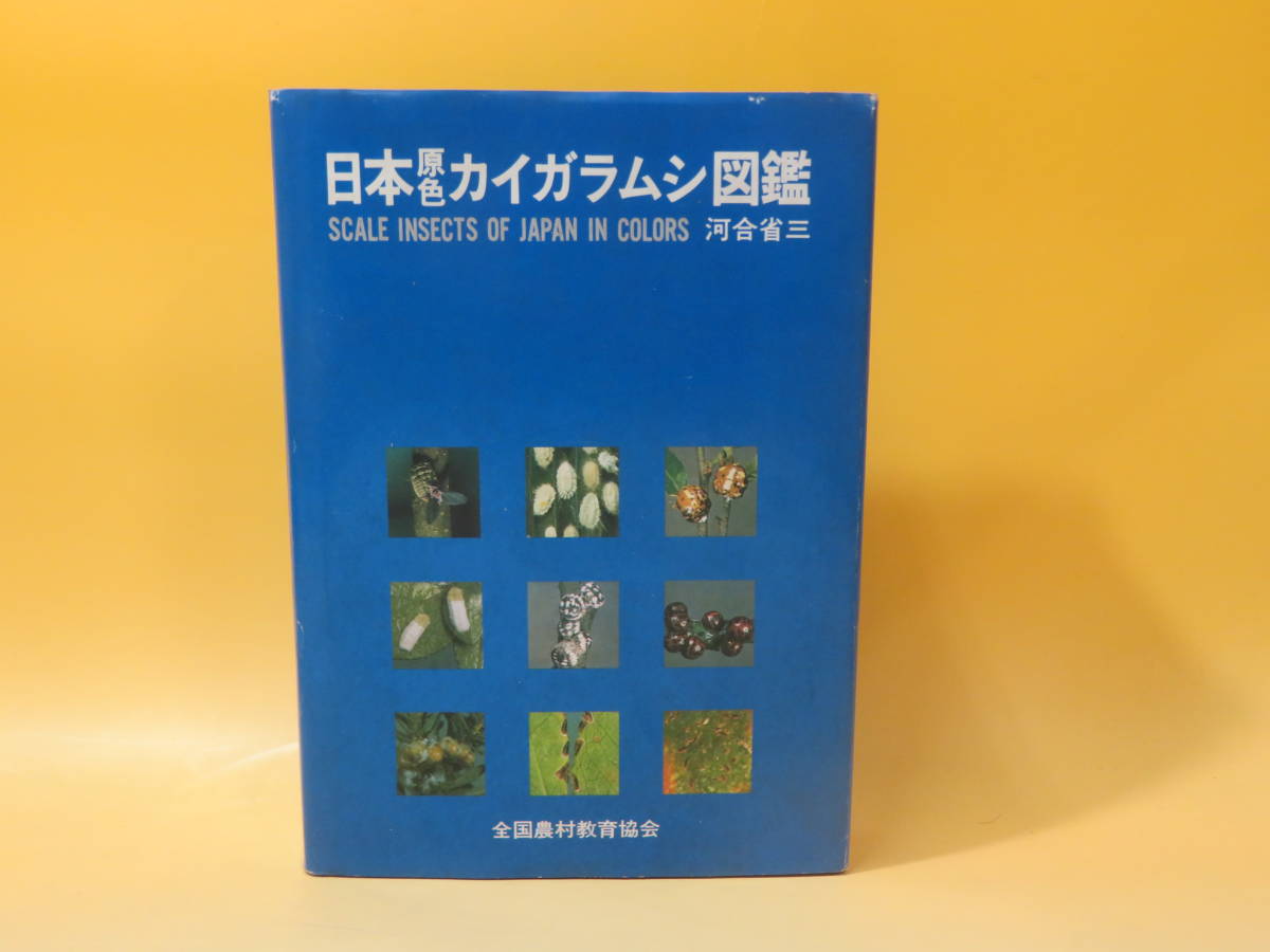 ラッピング無料】 【中古】日本原色カイガラムシ図鑑 著者:河合省三