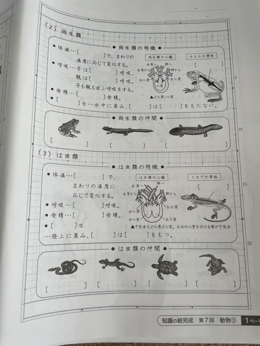 SAPIX サピックス 2023 6年 土特 理科 知識の総完成|Yahoo SAPIX サピックス 2023 6年 土特 理科 知識の総完成|Yahoo